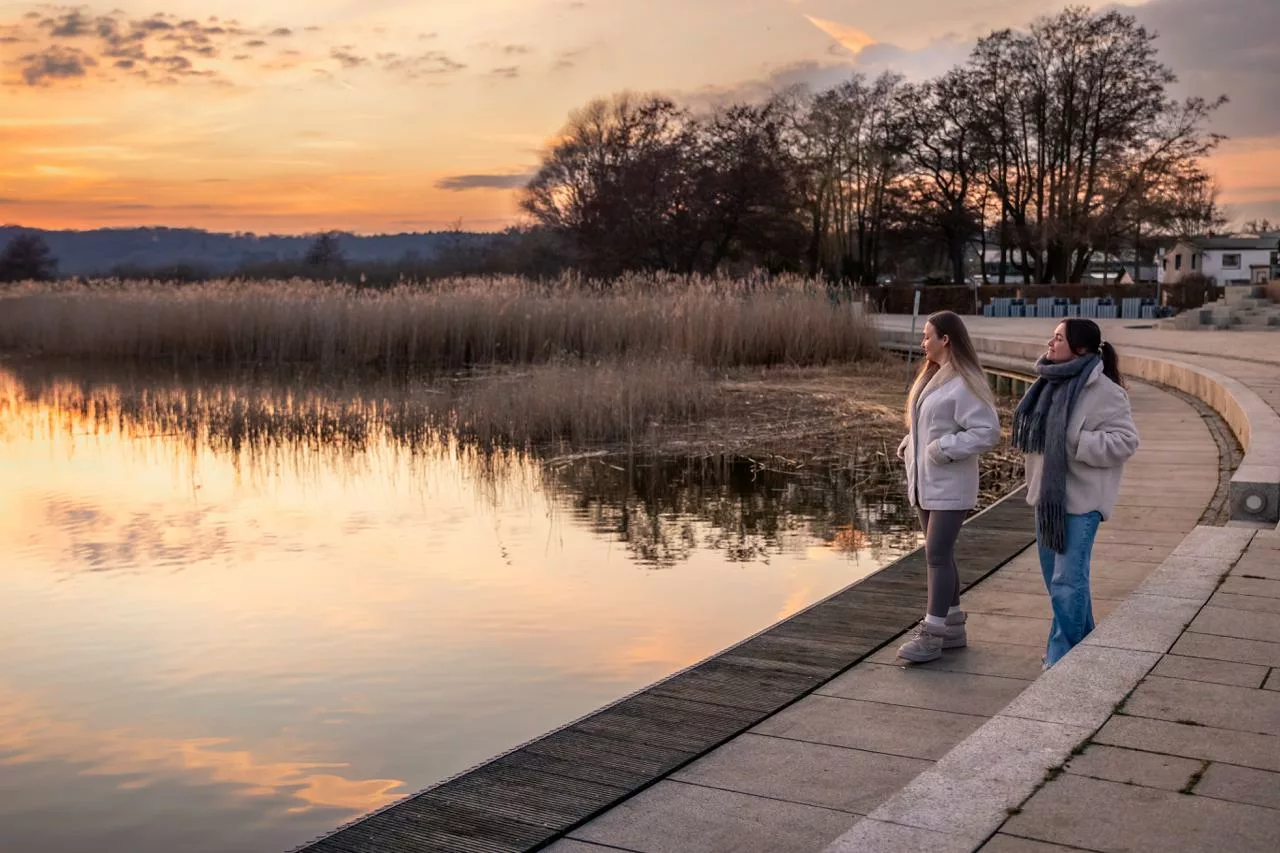 Un échange approfondi autour de votre problématique